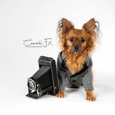 I am a Certified Professional Photographer in the Houston area and Love animals! I also have a Master's degree in Anthropology (Primatology).
