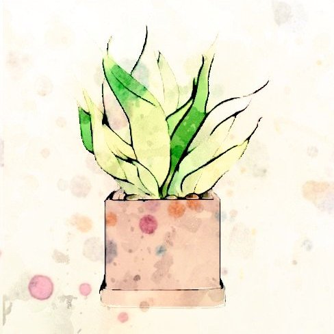🕯산세베리아🕯さんのプロフィール画像