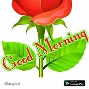 Tender88heart's profile picture. 