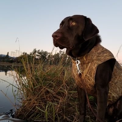 thewinerackco's profile picture. Just trying to make my way everyday after the Camp Fire.  11/8/2018