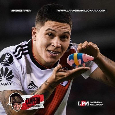 alafuentevoy's profile picture. ahora si, renaciendo.....