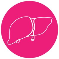 Liver4Life (@liver4lifeuk) 's Twitter Profile