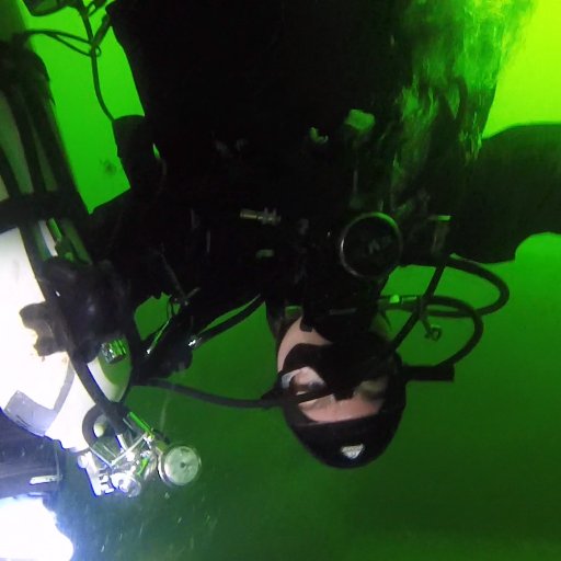 Fleskenisse's profile picture. 