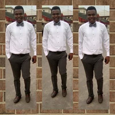 CEO dannivill groups