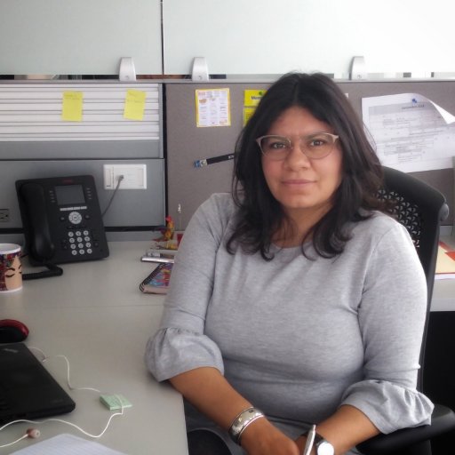 Directora de Comercio Digital @SE_mx.
Opinions & tweets are my own.