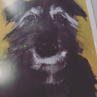 Maggie Murphy (@scampim) 's Twitter Profile