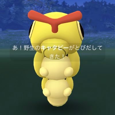 ポッポ ポケモンgo Isidmgb6xqxfitk Twitter