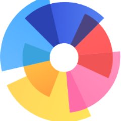 BirdView Insight Profile