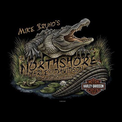 NorthshoreHD's profile picture. Life is a journey, so let us help you find your dream Harley-Davidson!