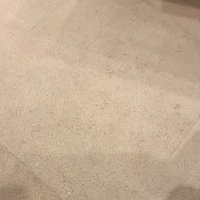 10silence's profile picture. 