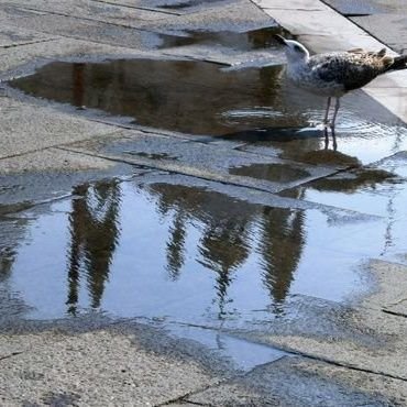 docente Filo, cinefila classica, convintamente ecumenica, con Carpi (ed il Carpi calcio), che posso tradire solo per Venezia, sempre, nel cuore