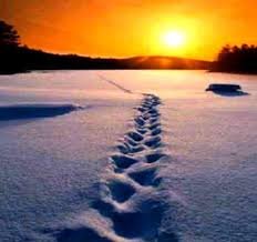 machado100_sc's profile picture. 