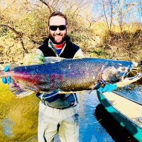 Gabriel Singer, PhD (@gsinger121) 's Twitter Profile Photo