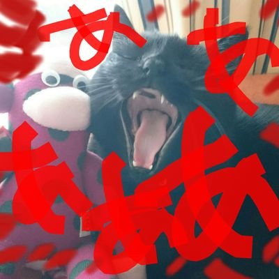闇猫ガブリエル🐴🐴🐴UMAcross教祖さんのプロフィール画像