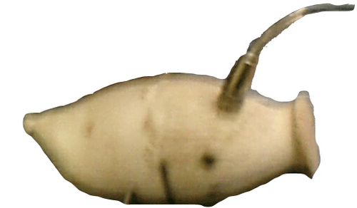 5genom's profile picture. ハ-イ.ディープパシフィック！
会社員_合同会社代表_NETWORKS/key_Memories/key

あなたと通心中😅_祈レ