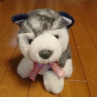 coco (@coco_figureska) 's Twitter Profile