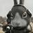 physalis_gp_02's profile image