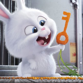 wadekoko's profile picture. 