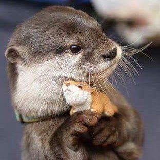 LBadena's profile picture. Randomness at its best.