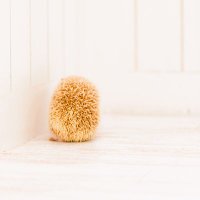 pg. (@pigxpugxpigxpug) 's Twitter Profile