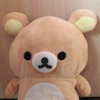 ❖熊太郎 (@bearkkuma) 's Twitter Profile