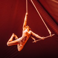 Angelique Reckless Ross (@angelique__ross) 's Twitter Profile Photo