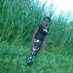 fatoufall (@fatoufa42775050) Twitter profile photo fatoufall (@fatoufa42775050) Twitter profile photo