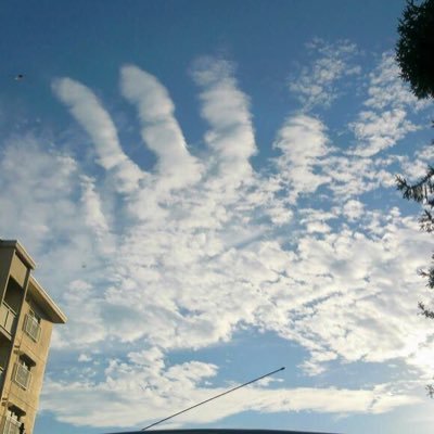 BjEu2fmitWiQN1C's profile picture. 欲求不満笑笑 21歳童貞ですけど誰か卒業させてください！