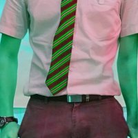 missealsane (@missealsane) 's Twitter Profile