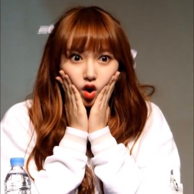 WJSN Fanboy | memes | art acc @tobiasteatime