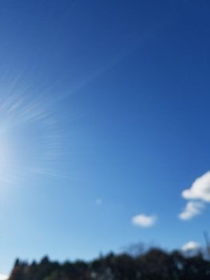 taka_san225's profile picture. 某公立中学校の学校司書（週2日勤務2校兼務）
情報収集のためにアカウントを作りました。
よろしくお願いします。