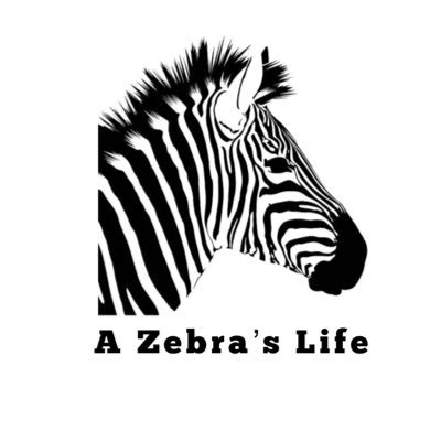 St. Louis ~ Mom, Wife, Blogger, Product Tester 🦓  Living with hEDS, Fibro & Endo. Chronic Pain sucks! #AZebrasLife
