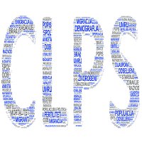 CLPS (@clps00290964) 's Twitter Profile Photo
