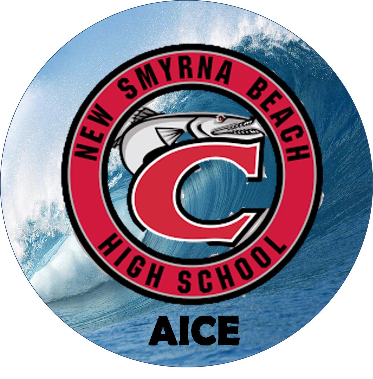 helping students develop an informed curiosity and a lasting passion for learning at New Smyrna Beach High School #AICEcudas #NSBHigh