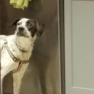 LynneCo34097107's profile picture. Retired K-3 Teacher Area 4 Director IRTA