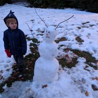 John Asmuth (@skelterjohn) 's Twitter Profile Photo