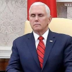 NoelCasler's profile picture. Not available for children's parties.