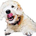 Molly McCurdy - @TheMollsterBean - Twitter