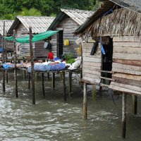 The Peopled Seas Initiative (@thepeopledseas) 's Twitter Profile