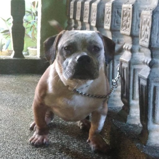 3030Steiner's profile picture. https://t.co/uwNgmy5dRI