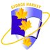 George Harvey TDSB (@ghci_tdsb) Twitter profile photo George Harvey TDSB (@ghci_tdsb) Twitter profile photo