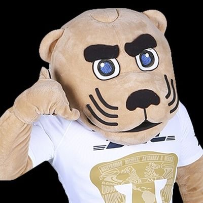 aficion_de's profile picture. Detesto a la personas que maltratan a los animales, las corridas de toros me dan asco. Soy bohemio de afición, así como Felipe pero menos borracho, salud 🍺🍻🍹