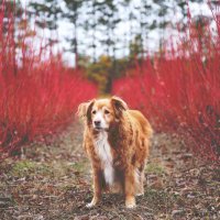 barrybestphotography (@barrybest4) 's Twitter Profile