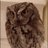 owl_scops38