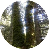 Eman Al Refaie (@eman_alrefaie) 's Twitter Profile