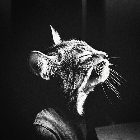 openoleg's profile picture. 