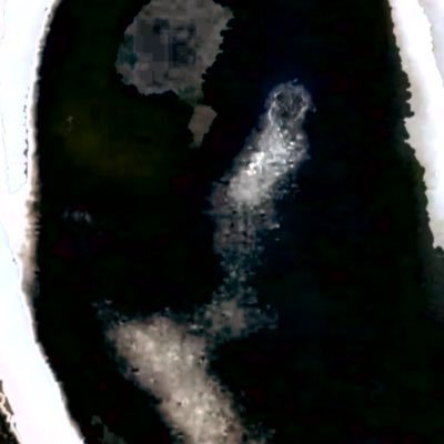 rainaさんのプロフィール画像
