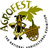Agrofest's profile image