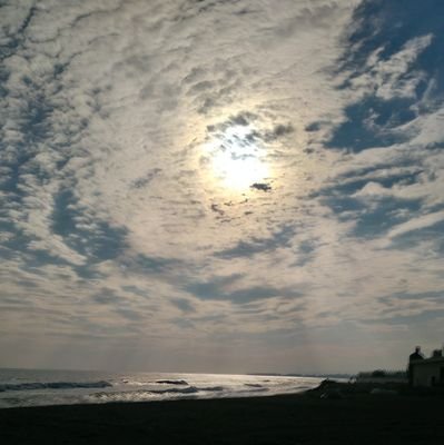 fixofix's profile picture. 