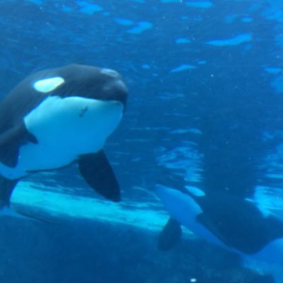 牛タンくんさんのプロフィール画像